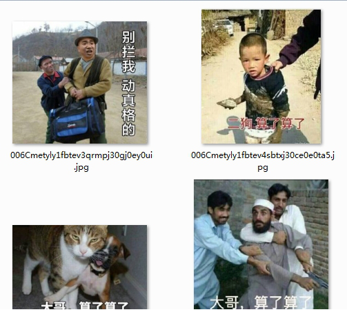 算了算了表情包