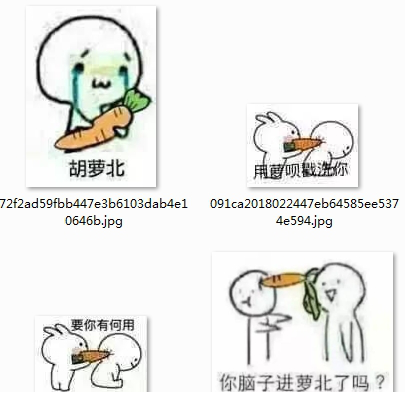脑子进萝北表情包