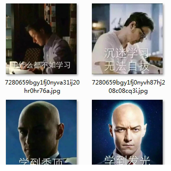 热爱学习表情包