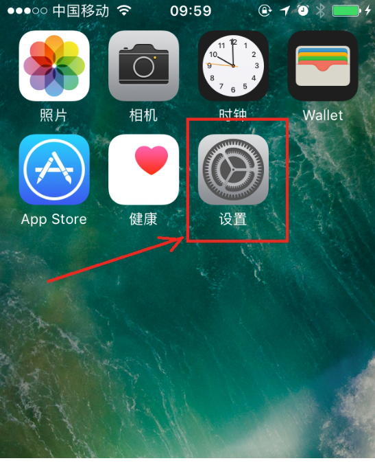 PP助手