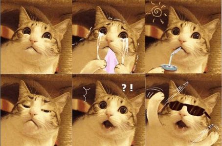 瓜皮猫表情