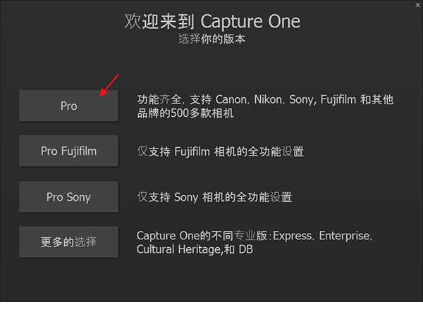 Capture One Pro 12破解版
