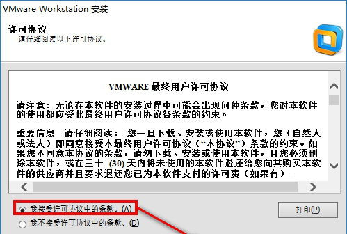 VM10中文精简注册版