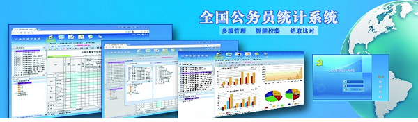 公务员统计系统经常用的软件
