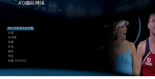 澳洲国际网球汉化补丁