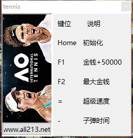 澳洲国际网球修改器