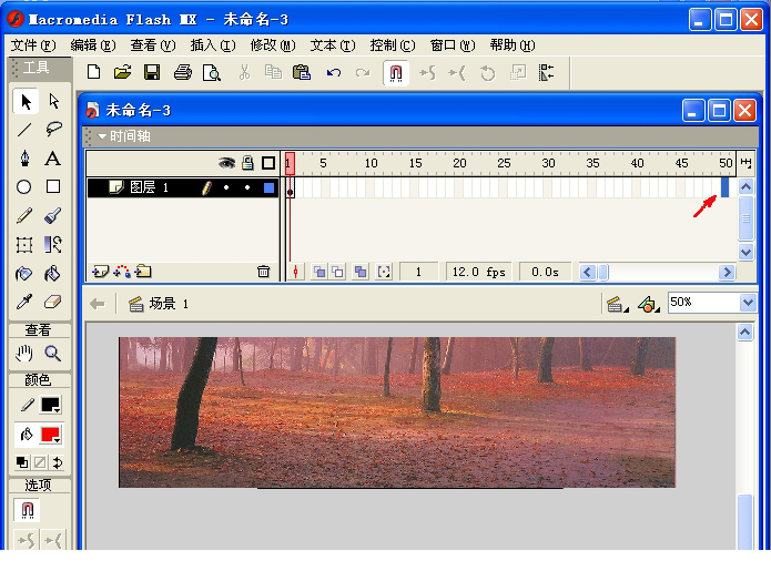 macromedia flash mx 2004中文版