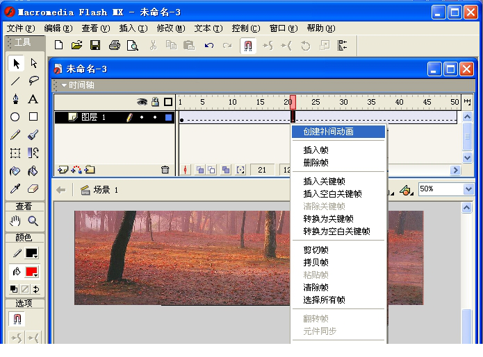 macromedia flash mx 2004中文版