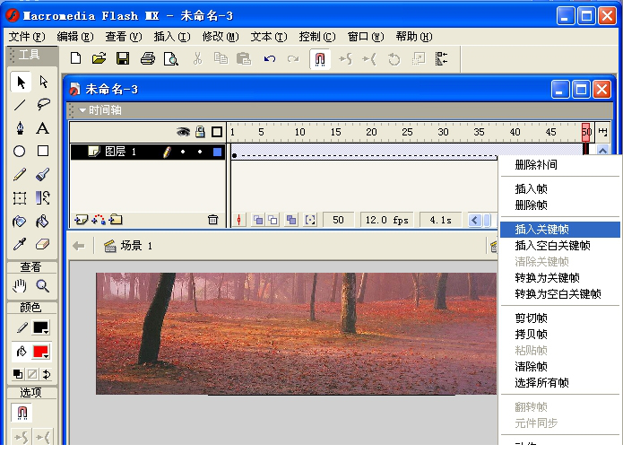 macromedia flash mx 2004中文版