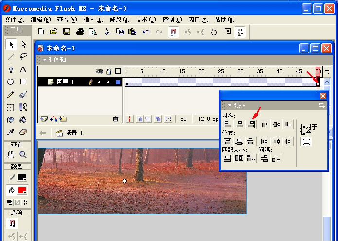 macromedia flash mx 2004中文版