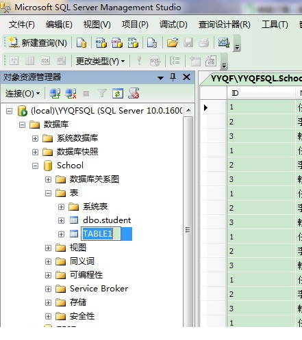sql 2008精简版