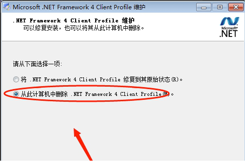 .NET Framework