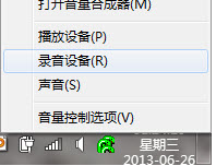 wo mic电脑版