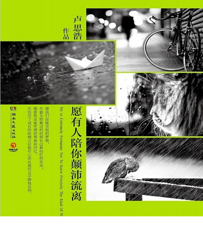 愿有人陪你颠沛流离pdf