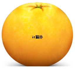 橘子水印添加器