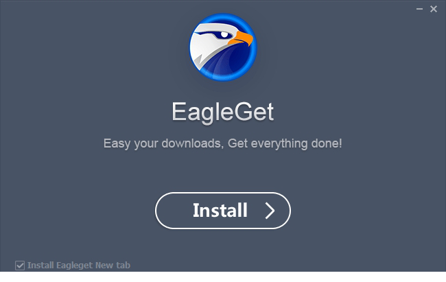eagleget中文版