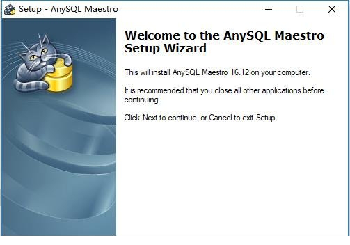 AnySQL Maestro Pro破解版
