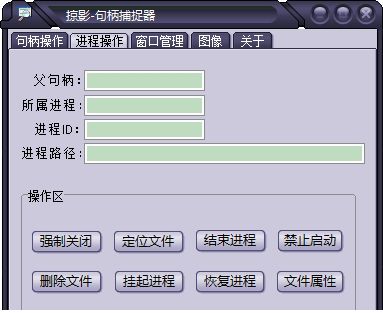 掠影