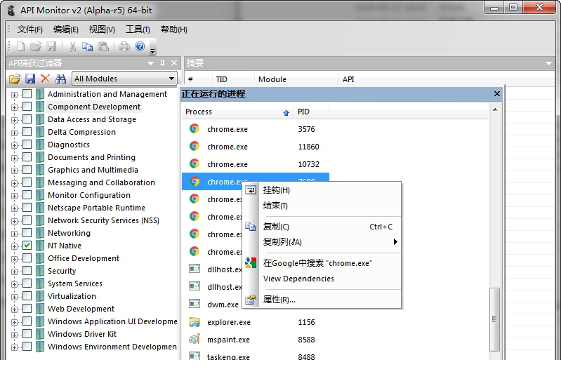 api monitor汉化版