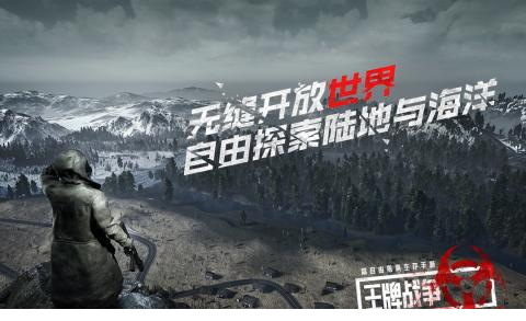 王牌战争电脑版