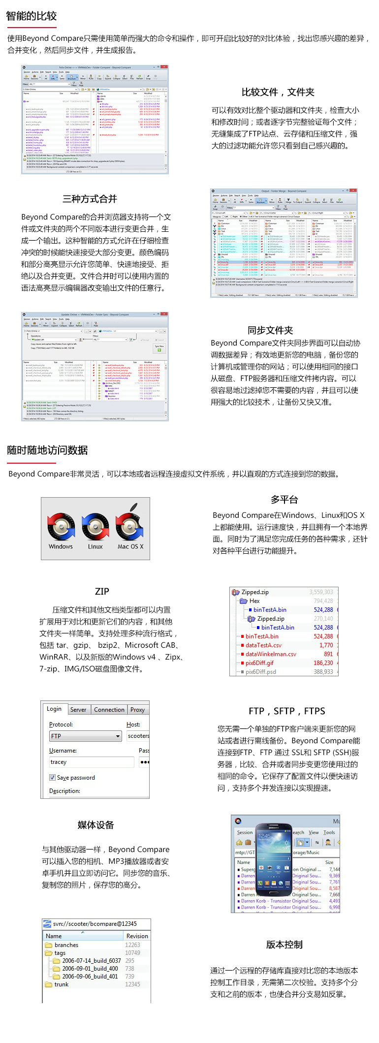 Beyond Compare文件比较工具