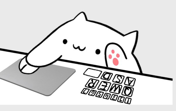 桌面小猫代打经常用的软件