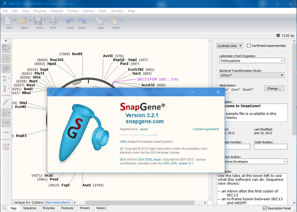GSL Biotech SnapGene经常用的软件