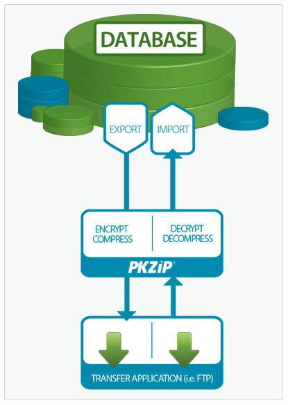 pkzip server安装