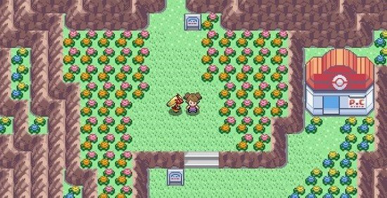 pokemmorom资源