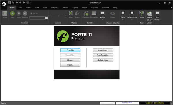Forte 11 Premium中文破解版