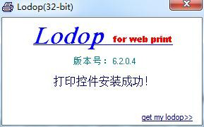 电子税务局打印控件下载