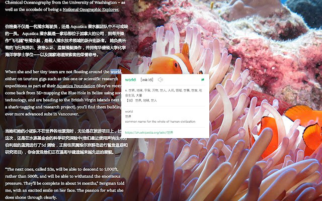 彩云小译网页翻译插件下载