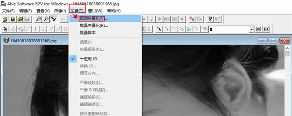 r2v图片转cad经常用的软件