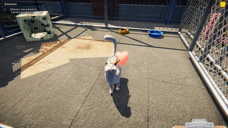 动物收容所Animal Shelter