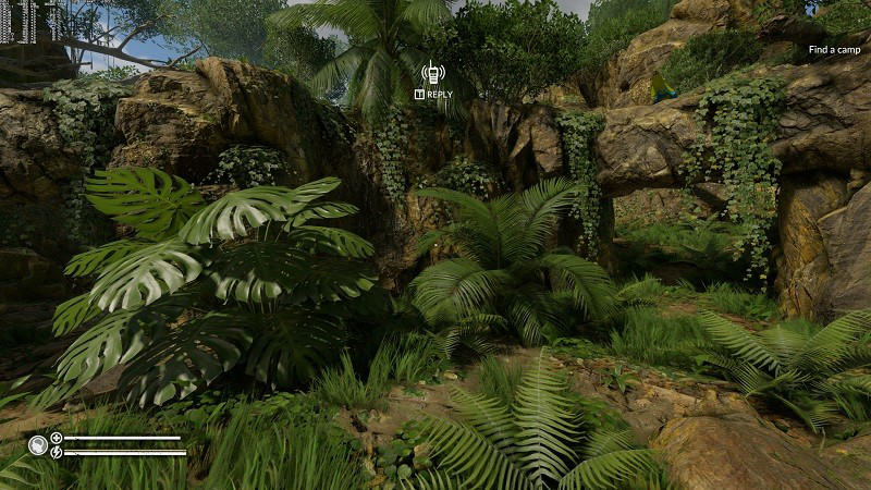 绿色地狱正版steam(green hell)