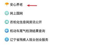 辽事通安心养老应用于方法