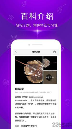 问鱼手机版