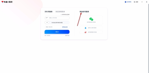 有道小图灵