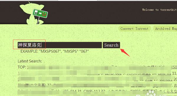 Torrentkitty1.0.2 绿色版