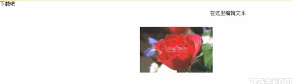 Website Painter(Web编辑器)