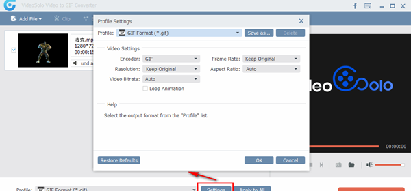 VideoSolo video to GIF Converter(视频格式转换器)