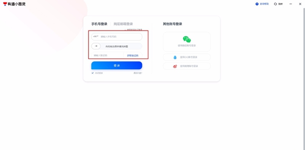 有道小图灵
