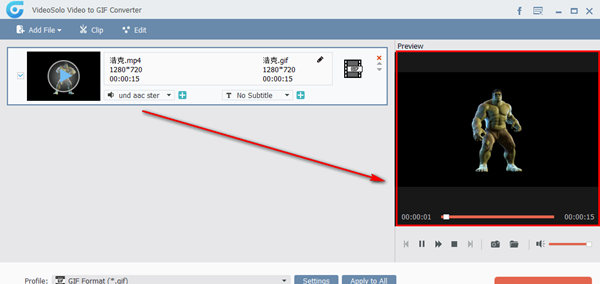 VideoSolo video to GIF Converter(视频格式转换器)