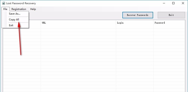Lost Password Recovery(浏览器密码恢复软件)