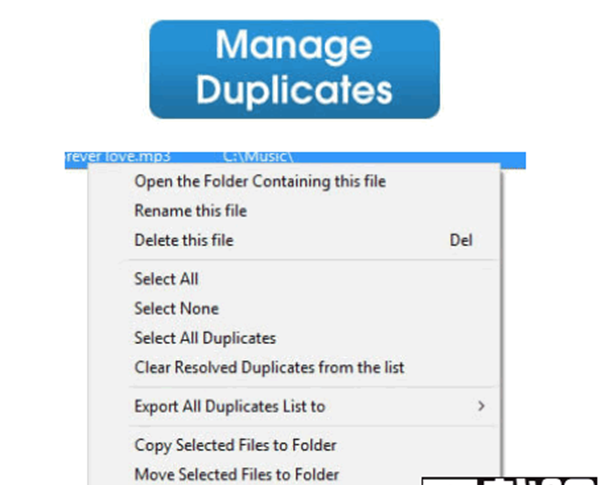 Easy Duplicate Cleaner(重复文件管理软件)